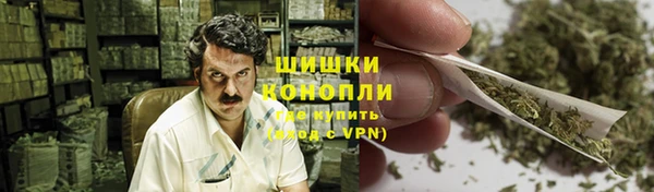ПСИЛОЦИБИНОВЫЕ ГРИБЫ Алексеевка