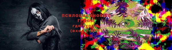 ПСИЛОЦИБИНОВЫЕ ГРИБЫ Алексеевка