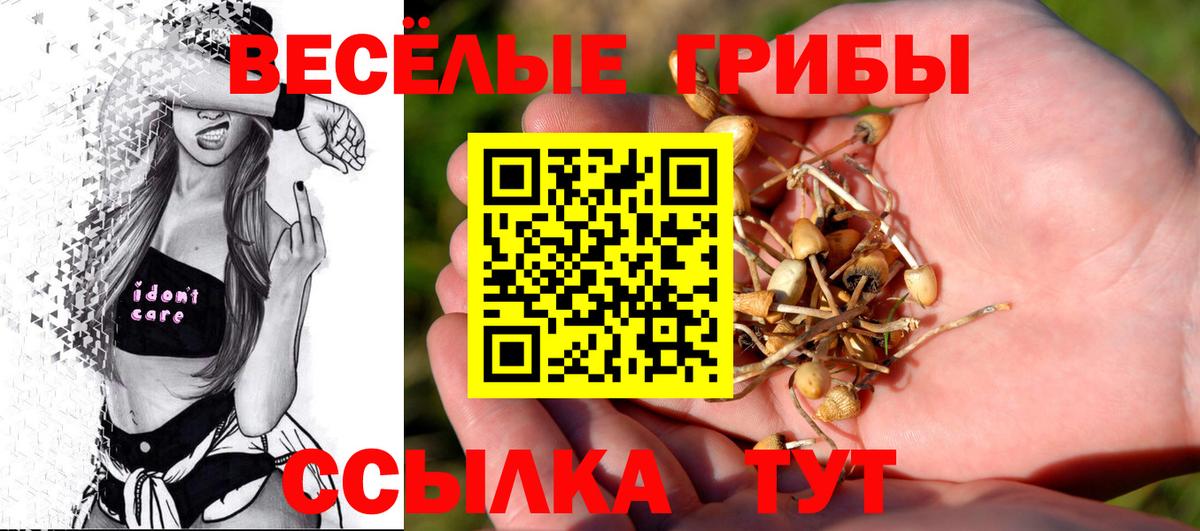 Галлюциногенные грибы GOLDEN TEACHER  Вход с VPN  Псилоцибиновые грибы мицелий  Керчь 